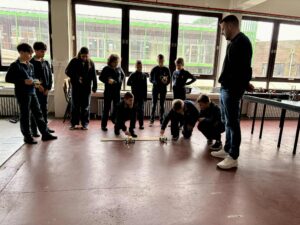 Groep Ibis Neem